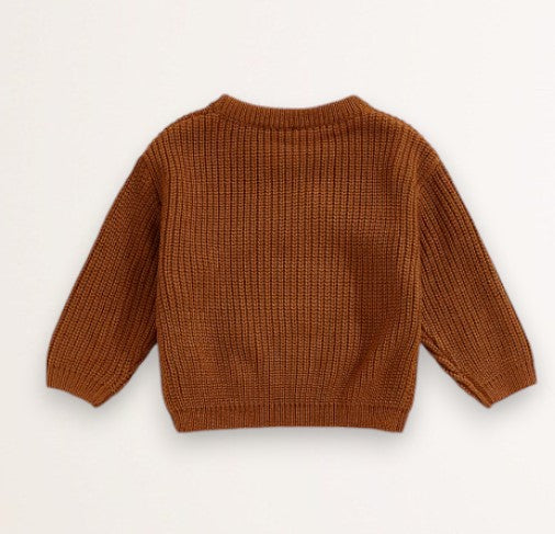 pumpkin sweater - brown