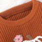 pumpkin sweater - brown