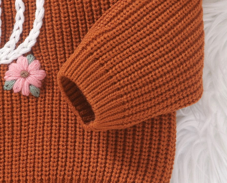 pumpkin sweater - brown